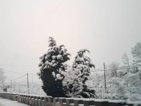 圖片1(圖片自己拍的) 圖片1(圖片自己拍的)