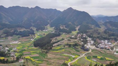 微信圖片_20250226153013 微信圖片_20250226153013